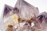 Dark Purple Cactus Quartz (Amethyst) Crystals - South Africa #206258-2